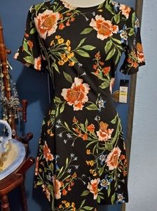 NWT Rachel Rachel Roy dress